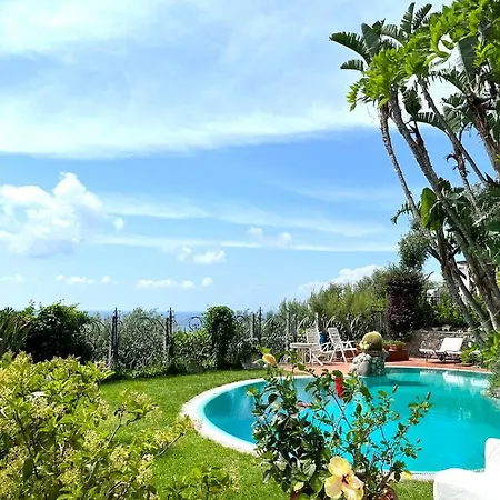 Villa Le Palme Forio  Exterior photo