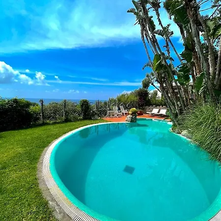 Villa Le Palme Forio  Exterior photo