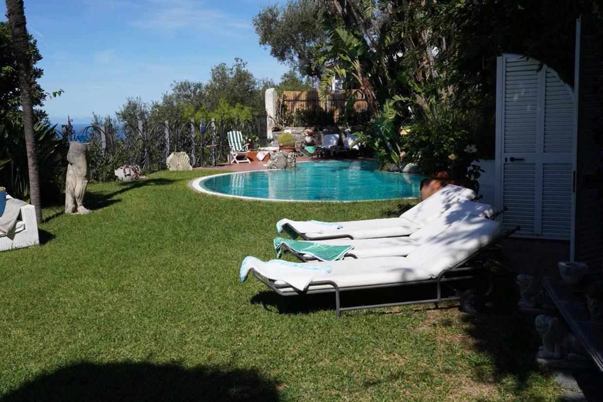 Le Palme * Forio (Isola d'Ischia)
