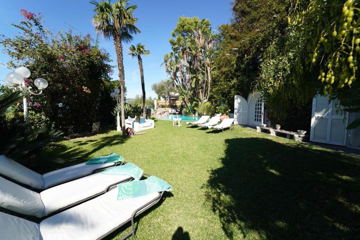 Le Palme Forio (Isola d'Ischia)