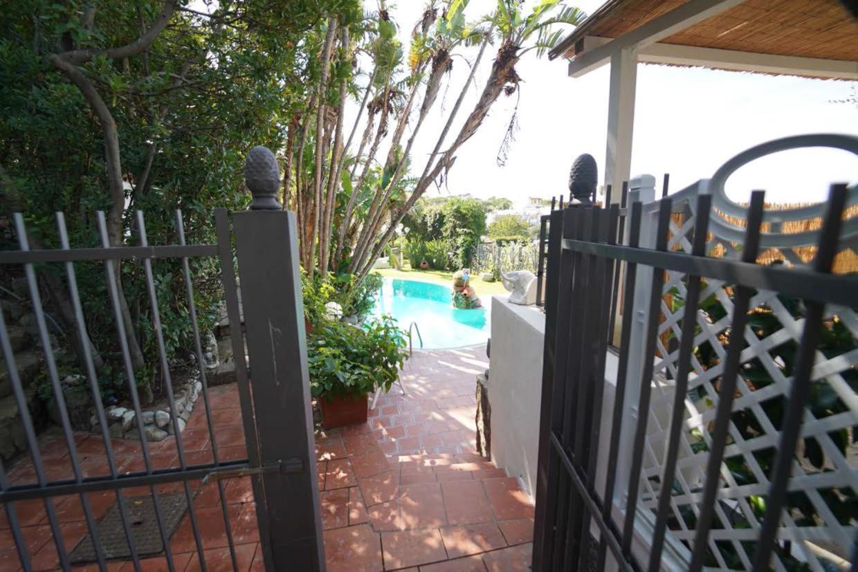 Apartment Le Palme Forio (Isola d'Ischia)