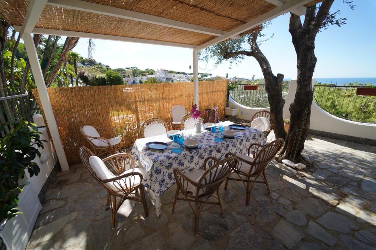 Le Palme * Forio (Isola d'Ischia)
