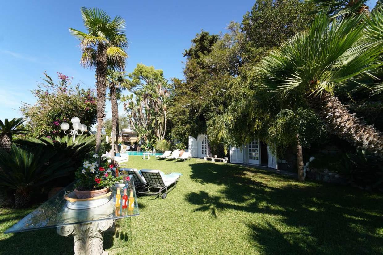 Le Palme Apartment Forio (Isola d'Ischia)