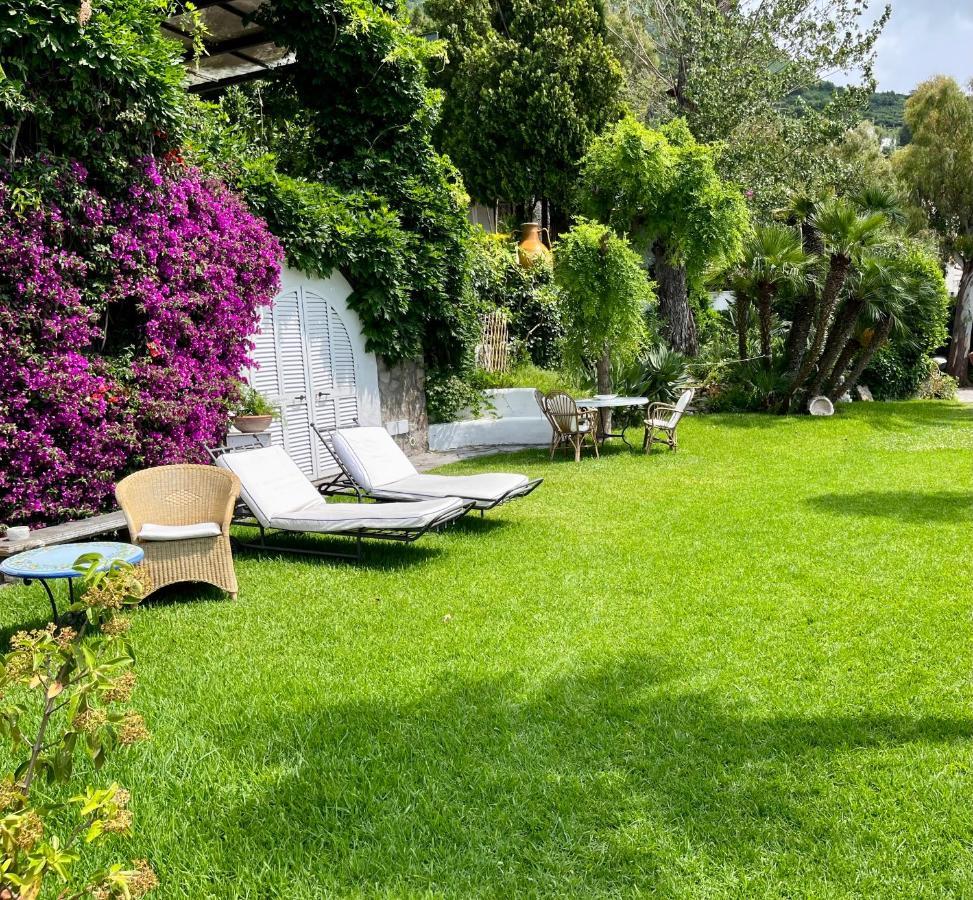 Apartment Le Palme Forio (Isola d'Ischia)