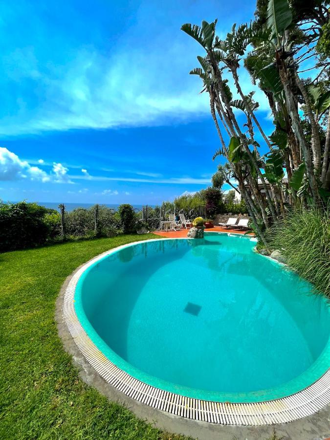 Le Palme Apartment