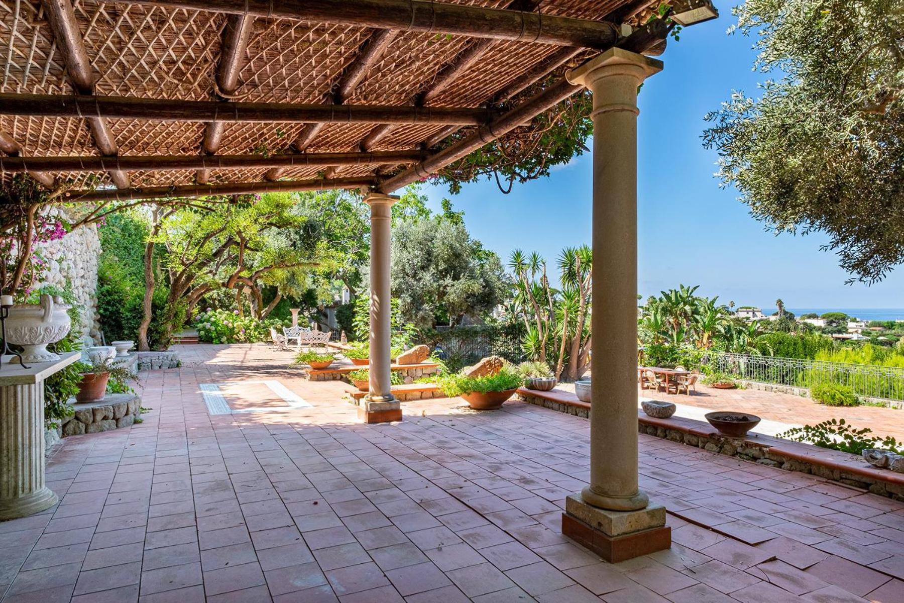 Apartment Le Palme Forio (Isola d'Ischia)