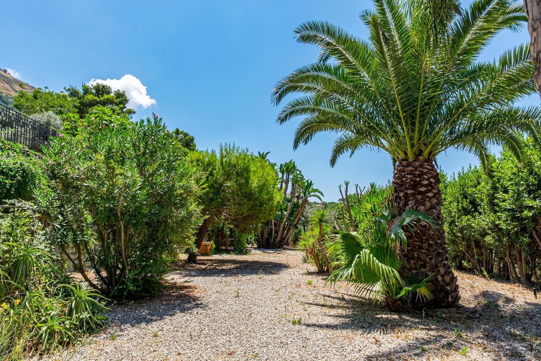 Apartment Le Palme *