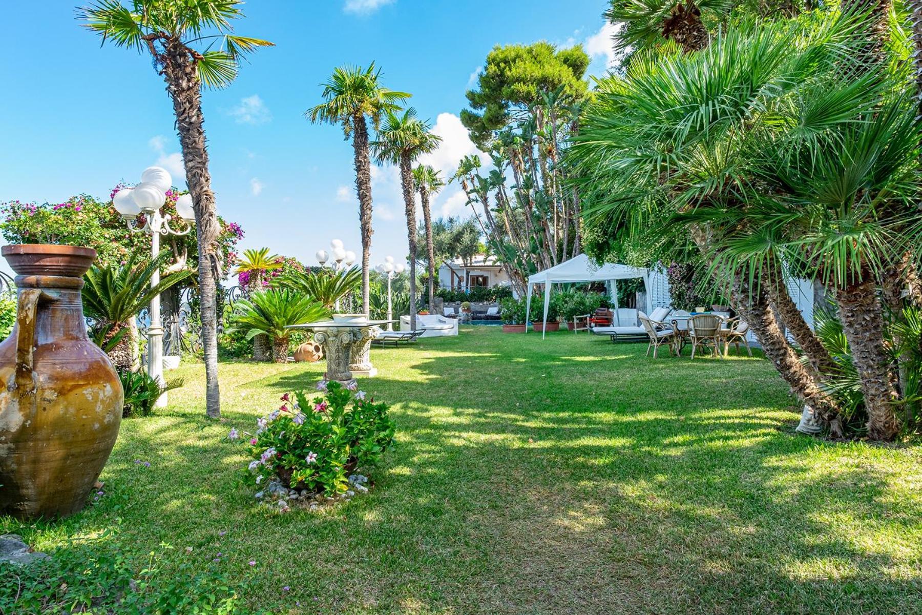 Le Palme Apartment