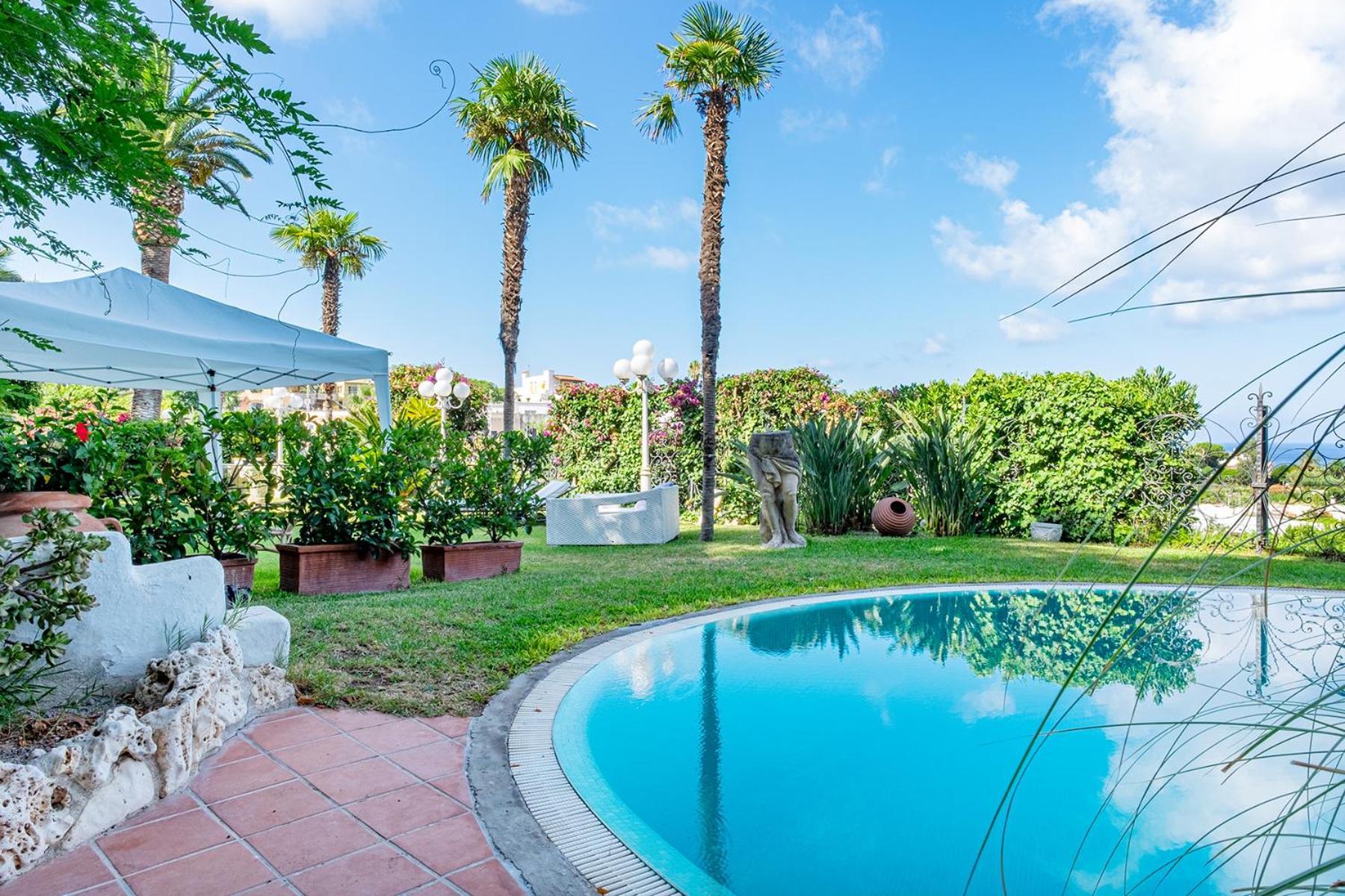 Apartment Le Palme Forio (Isola d'Ischia)