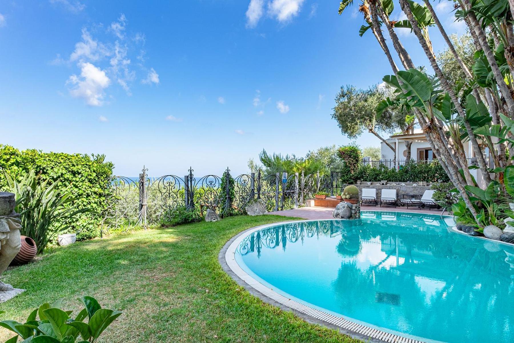 Le Palme Apartment Forio (Isola d'Ischia)