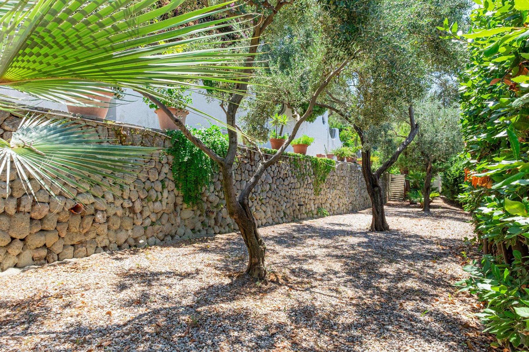 Le Palme Apartment